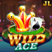 Wild Ace Filibet Casino slot